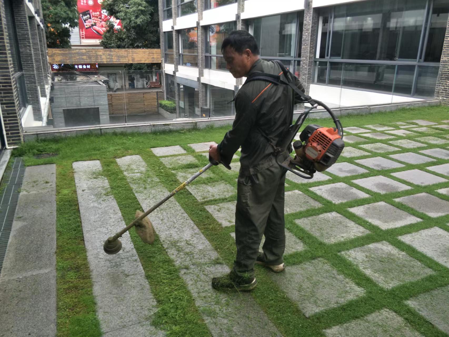綠化草皮修剪.jpg